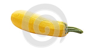 Pumpkin, vegetable, yellow pumpkin, pumpkin on white background