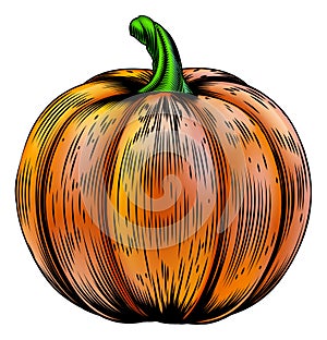 Pumpkin vintage woodcut illustration photo