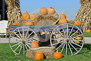 Pumpkin Wagon