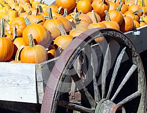 Pumpkin Wagon