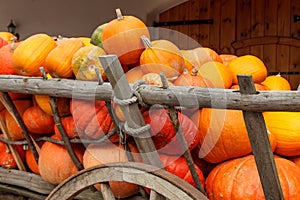 Pumpkin wagon