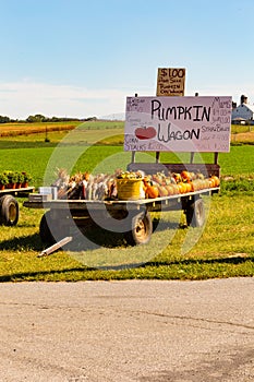 Pumpkin Wagon Lancaster County