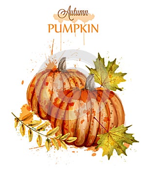 Pumpkin watercolor autumn background Vector. Fall season painted style illustrations