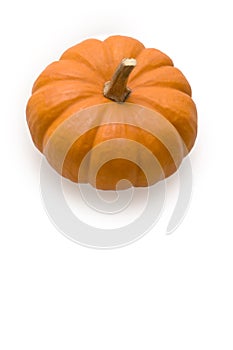 Pumpkin on white