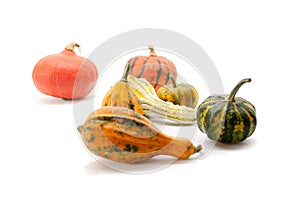 Pumpkin on white background