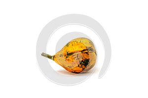 Pumpkin on white background