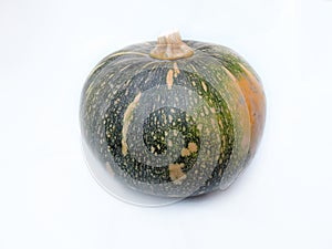 pumpkin on a white background