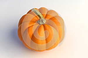 Pumpkin on white background