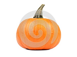 Pumpkin on white background