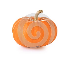 pumpkin on white background