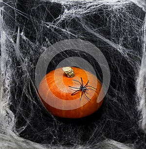 Pumpkin on white spider web background