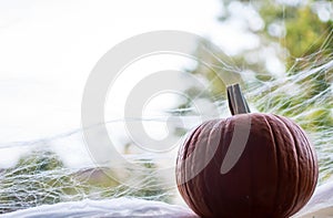 Pumpkin in Window with Spider Webs