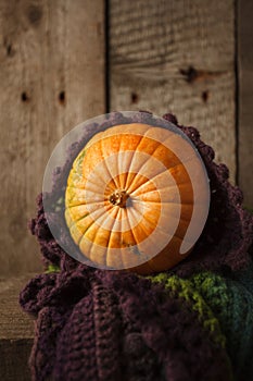 Pumpkin and woolen scarf on wooden background, Thanksgiving, coutryside And Fall Background.