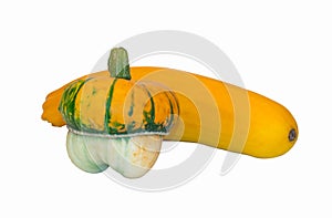 Pumpkin and zucchini