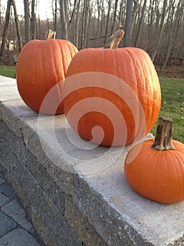 Pumpkins