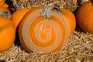 Calabaza 