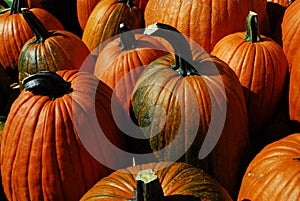 Pumpkins