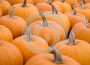 Pumpkins