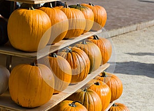 Pumpkins