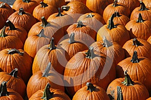 Pumpkins