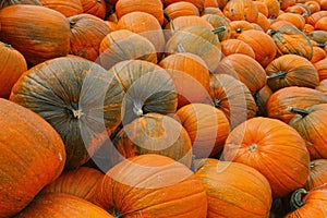 Pumpkins