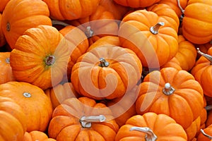 Pumpkins