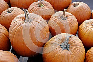 Pumpkins