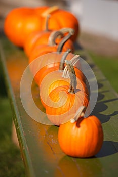 Pumpkins