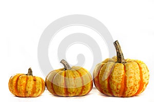 Pumpkins