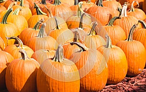 Pumpkins