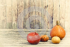 Pumpkins ad bitter gourd on an old wooden floor