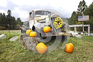 Pumpkins and an antique truck.