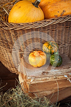 Pumpkins. Autumn background