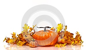 Pumpkins and Autumn leaves on a white background