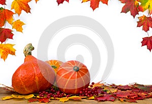 Pumpkins, autumn maple leaves, red berries on table on light background with leaves with space for text. Thanksgiving decoration