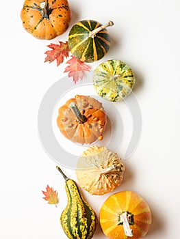 Pumpkins with autumn oak leaves