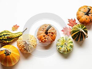 Pumpkins with autumn oak leaves over white background