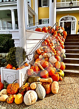 Pumpkins autumn Ocean and House hotel Rhode Island Watch Hill