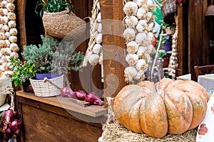 Pumpkins,  autumn vegetables and garlic