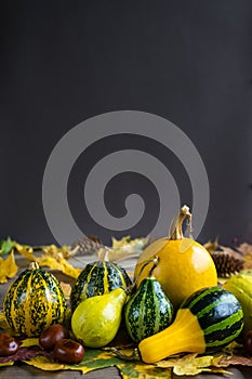 Pumpkins background photo