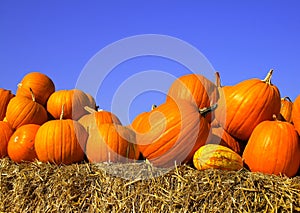 Pumpkins on bales of straw (hay)