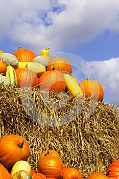 Pumpkins on bales of straw (hay)