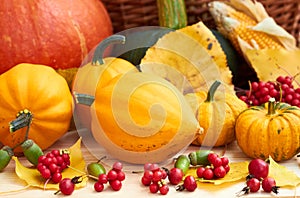 Pumpkins, berries, fallen leaves, corn, acorn on wooden background