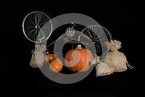 Pumpkins, bicycle and a jute bag on a black background