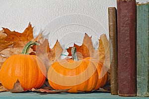 Pumpkins with Books on Shelf