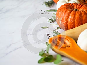 Pumpkins border of various sizes and colors and different raw herbs and spices on marble background Copy space