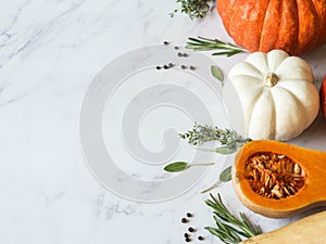 Pumpkins border of various sizes and colors and different raw herbs and spices on marble background. Copy space