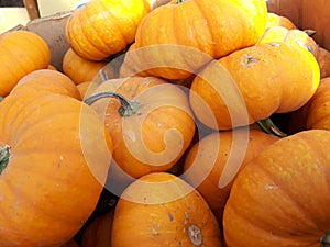 Pumpkins in a box