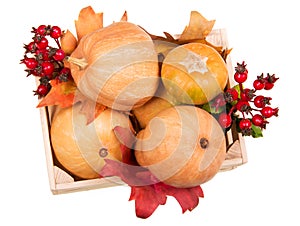 Pumpkins in a box, hips and leaves isolated on white