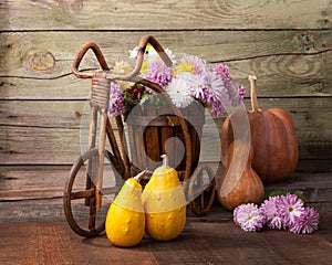 Pumpkins and Chrysanthemums bunch against the background of old wooden wall